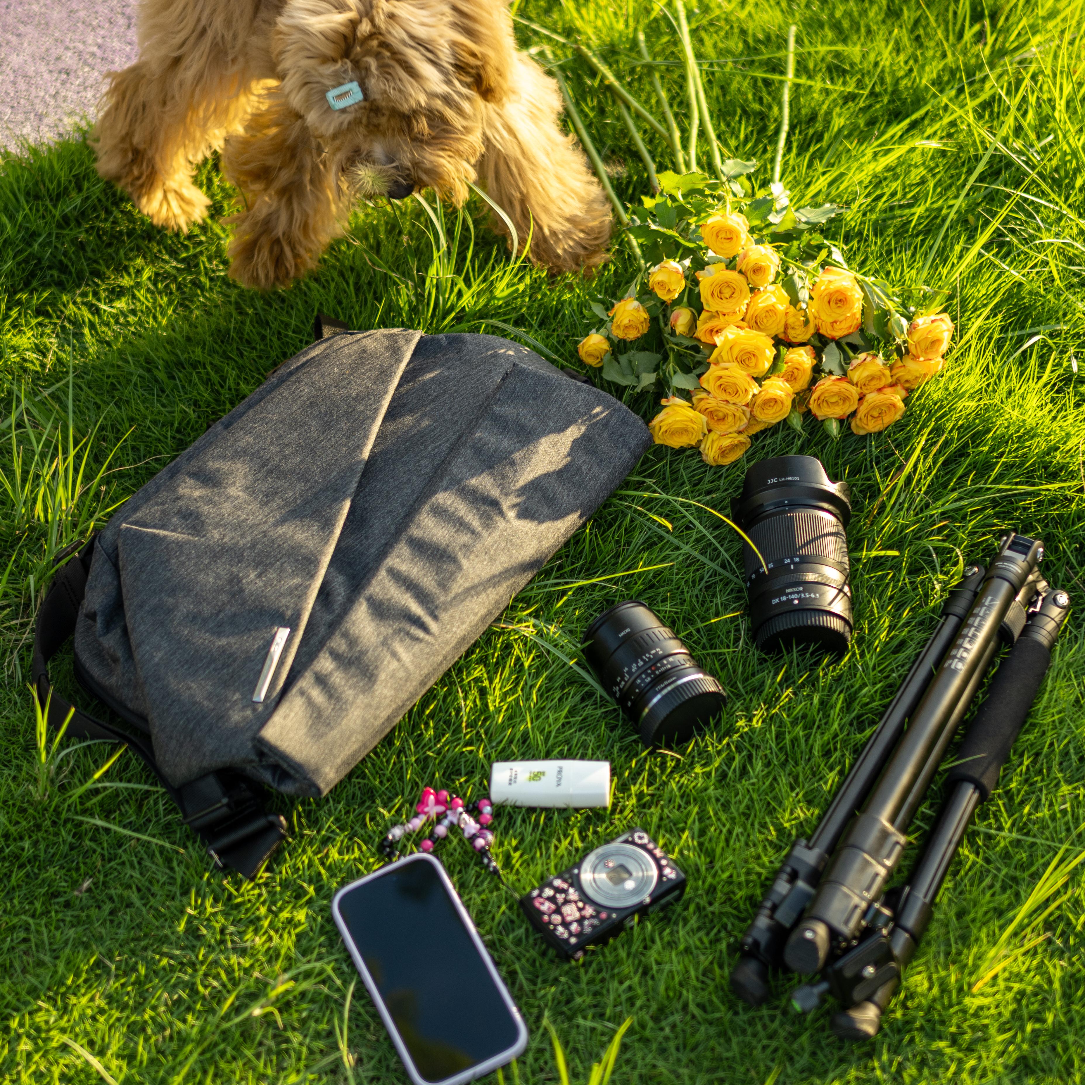 NIID R1 Radiant Mega gray sling bag flat‑lay on green grass, arranged with camera lenses, tripod, smartphone and yellow roses, cute dog in background outdoor lifestyle shot